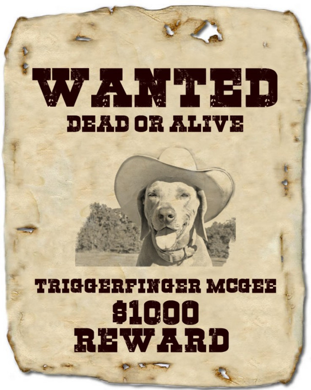 Wanted Poster Creator Make A Wanted Poster