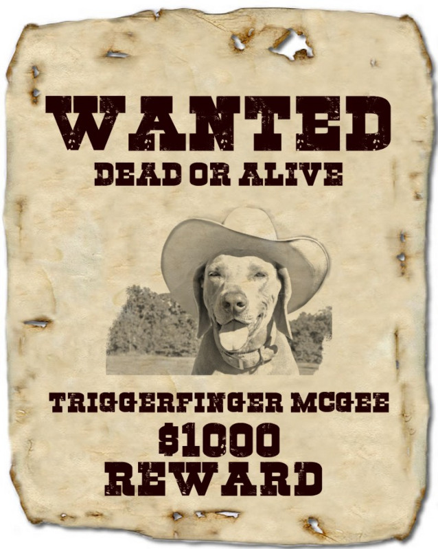 Make Your Own Wanted Poster Template